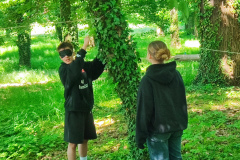 IMG_20260525_105733