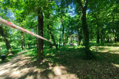 IMG_20260525_105850