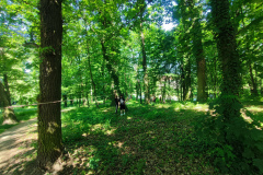 IMG_20260525_105907