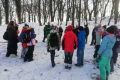 IMG-20251128-WA0006