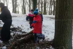 IMG-20251128-WA0016