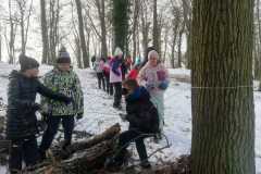 IMG-20251128-WA0017