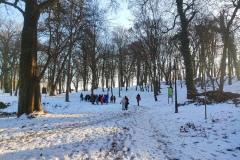 IMG_20251128_091306