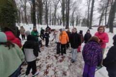 IMG_20251127_100510