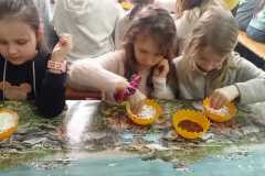 IMG-20240315-WA0016