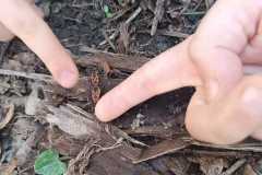 IMG-20250325-WA0007