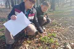 IMG-20250325-WA0009