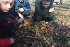 IMG-20250325-WA0010