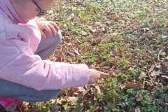 IMG-20250325-WA0011