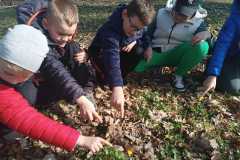 IMG-20250325-WA0013