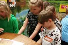 IMG-20220524-WA0031