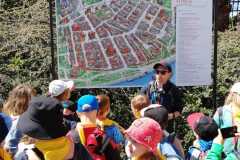 IMG-20220524-WA0087