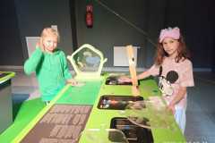 IMG-20220525-WA0052