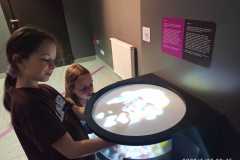 IMG-20220525-WA0053