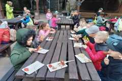 IMG-20250507-WA0004