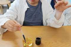 IMG-20250507-WA0027
