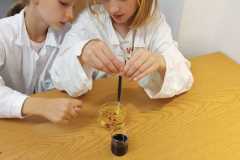 IMG-20250507-WA0029
