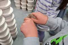 WhatsApp-Image-2025-05-29-at-12.50.03