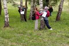 IMG-20260427-WA0050