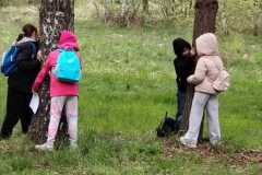 IMG-20260427-WA0051