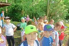 IMG-20240529-WA0153