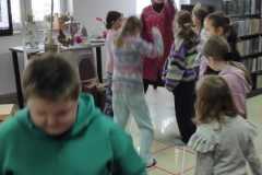 IMG-20260217-WA0001