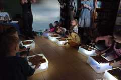 IMG-20220408-WA0000