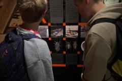 Zdjecie-WhatsApp-2025-05-31-o-19.46.34_b94e776c