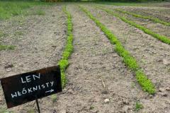 Zdjecie-WhatsApp-2025-05-31-o-19.46.36_90c14bb4