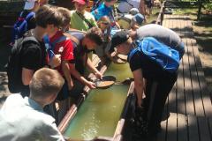 img-20220608-wa0038