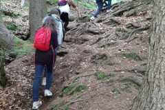 img-20220609-wa0053