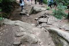 img-20220609-wa0066