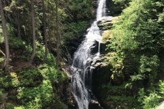 IMG-20220611-WA0024